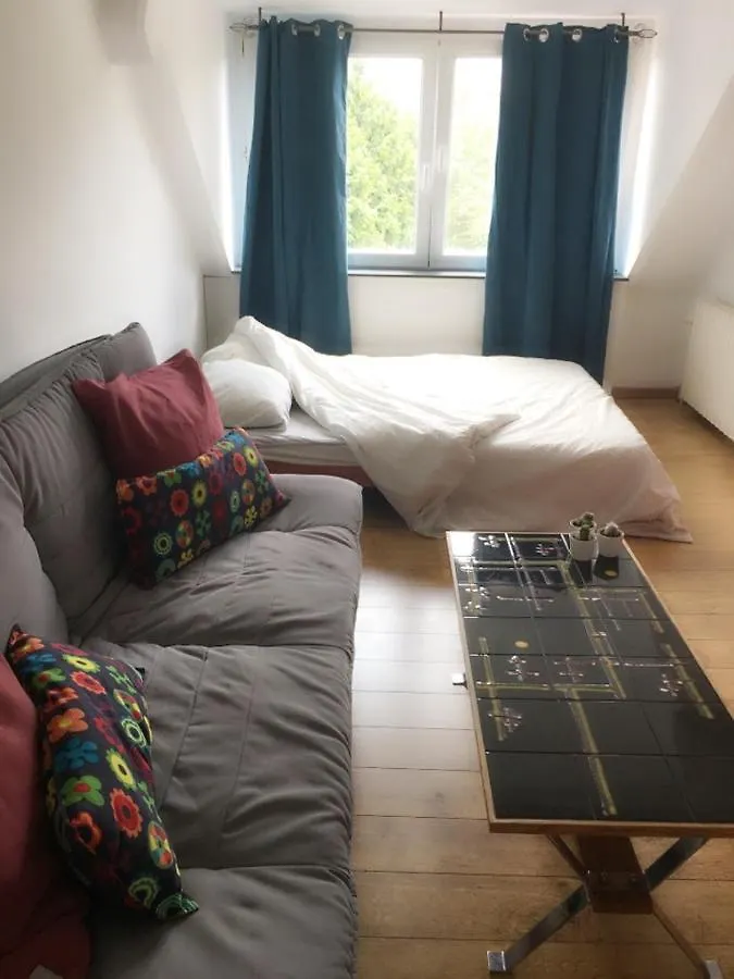 Studio Cosy A Woluwe Apartment Brussels Belgium